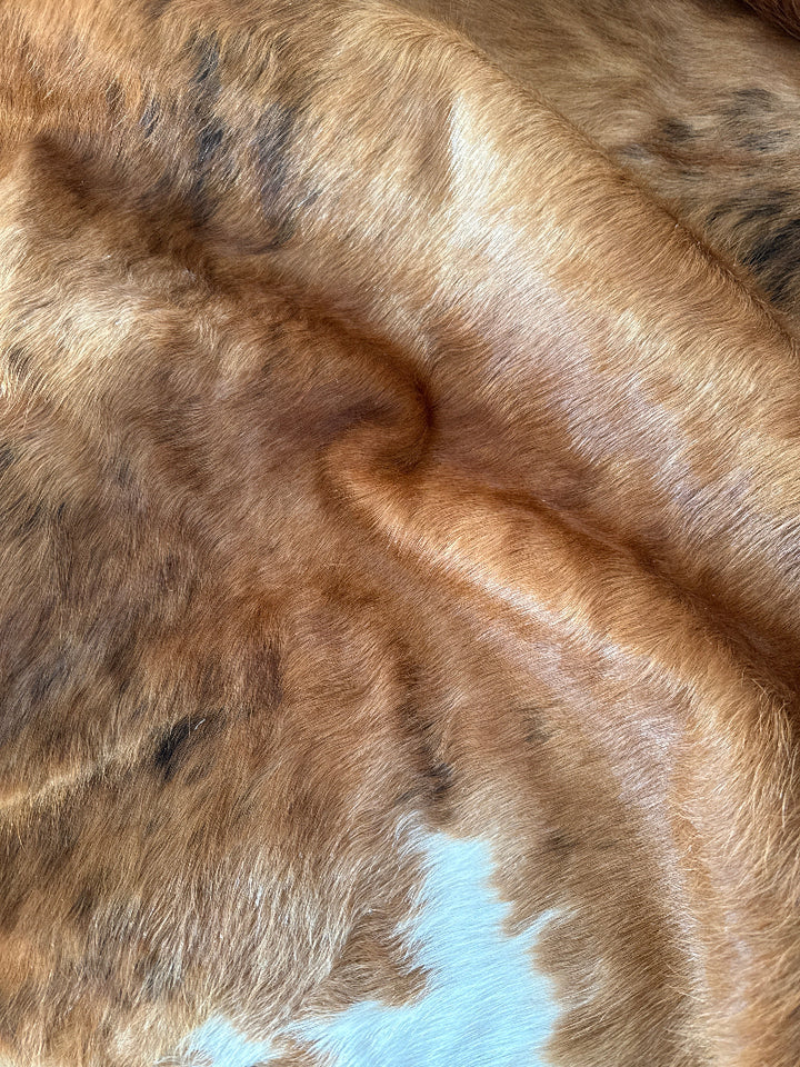 Cowhide Rug Premium AM266     204cm x 180cm - cowhiderugslondon.co.uk