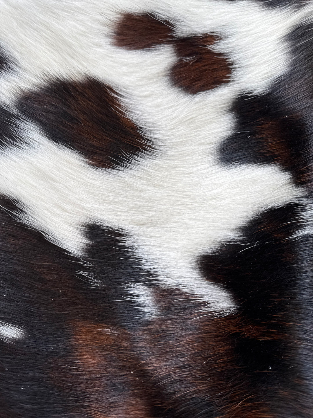 Cowhide Rug Premium DM433    213cm x 170m - cowhiderugslondon.co.uk