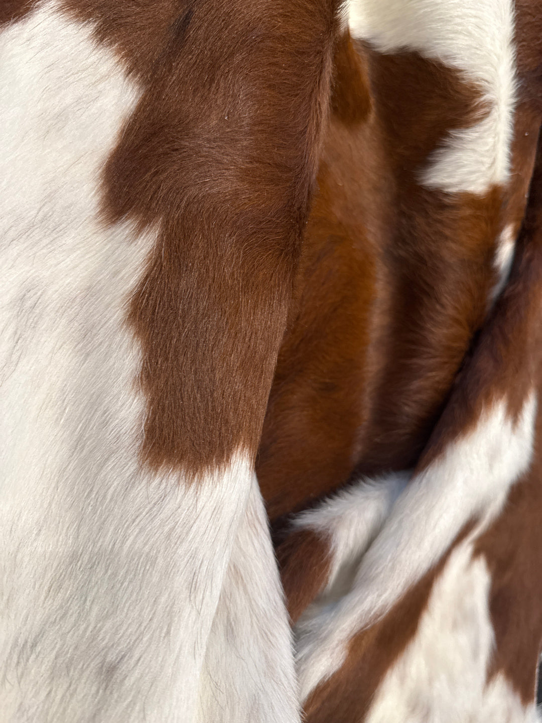 Premium Cowhide Rug 303 203cm x 1.81cm (80" x 71") - cowhiderugslondon.co.uk