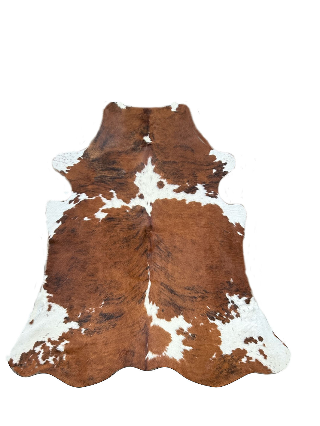 Premium Cowhide Rug 2605  232cm x 205cm (91" x 80") - cowhiderugslondon.co.uk