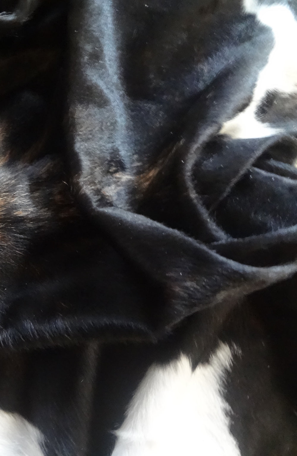 Cowhide Rug Premium Tricolour AM265     211cm x 180cm - cowhiderugslondon.co.uk