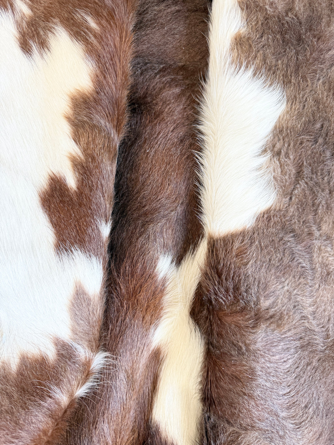 Cowhide Rug Premium AM268     202cm x 199cm - cowhiderugslondon.co.uk