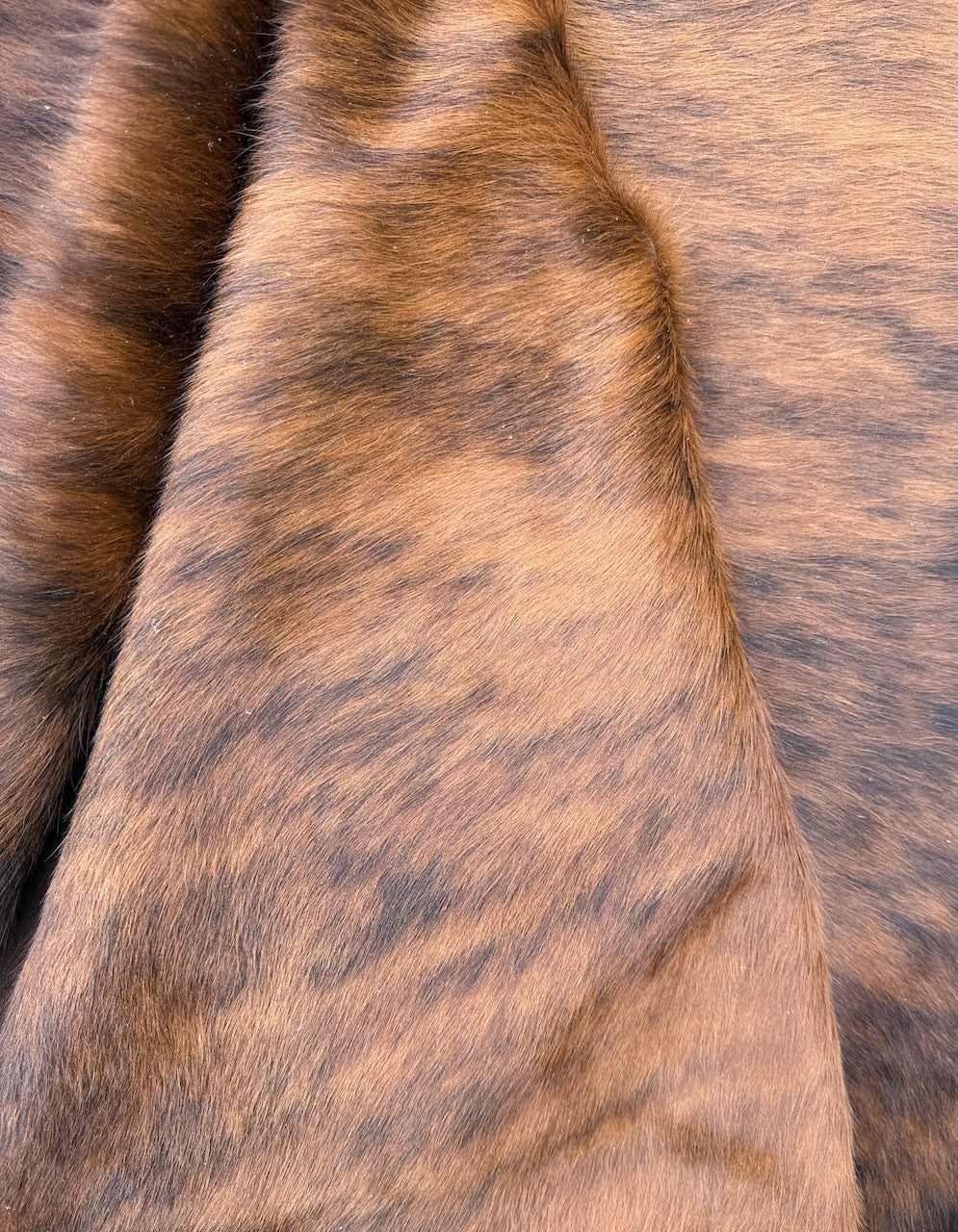 Premium Cowhide Rug 2935 255cm x 223cm (" x 88") - cowhiderugslondon.co.uk