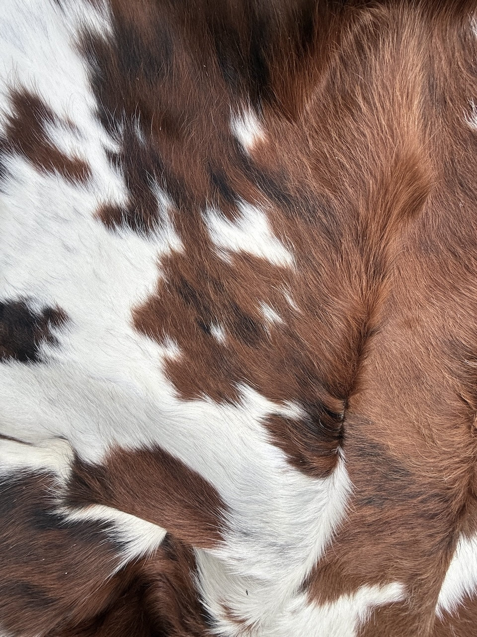 Premium Cowhide Rug 3234  225cm x 203cm (89" x 80") - cowhiderugslondon.co.uk