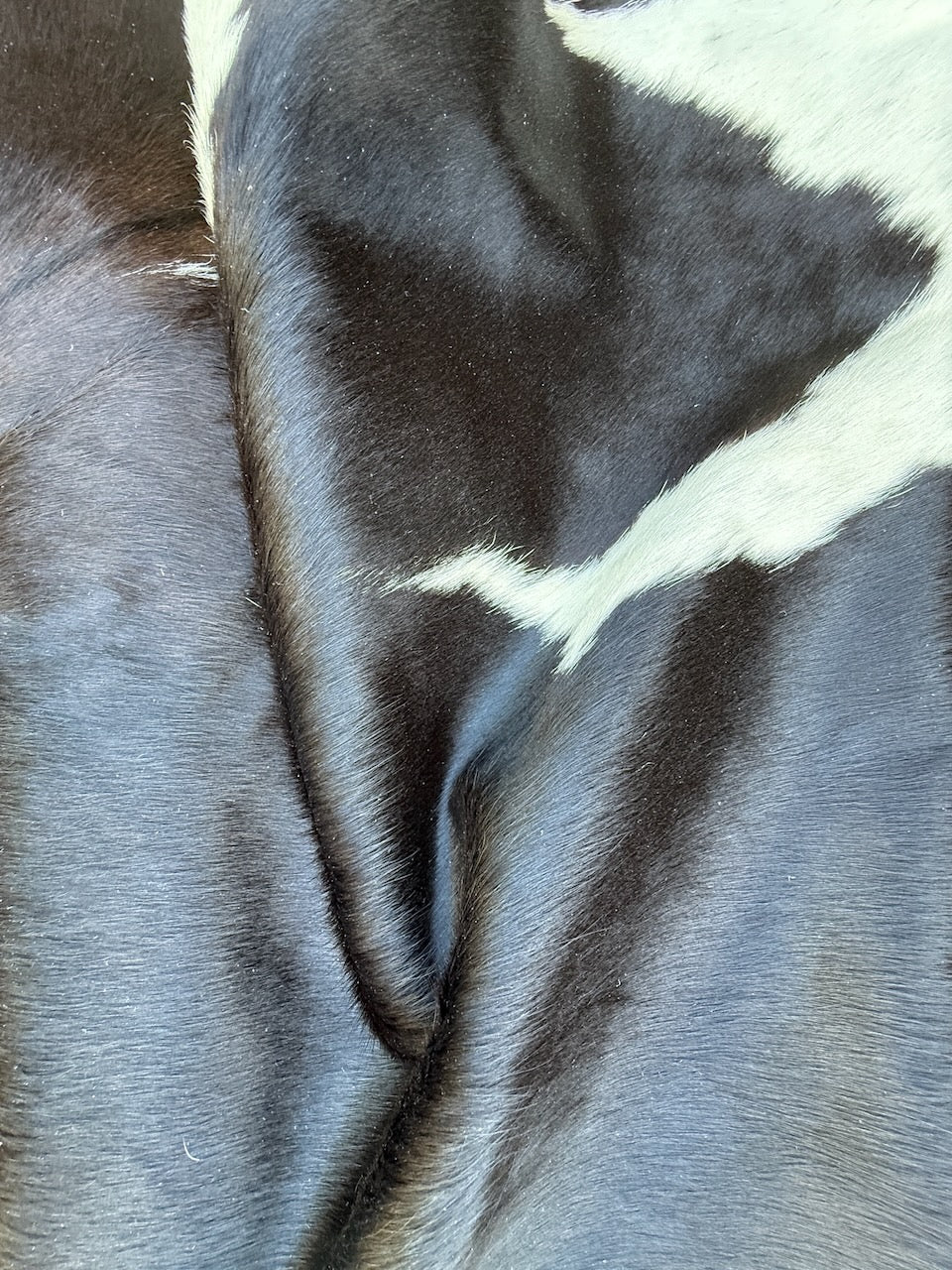 Premium Cowhide Rug 3540 230cm x 202cm (91" x 79") - cowhiderugslondon.co.uk