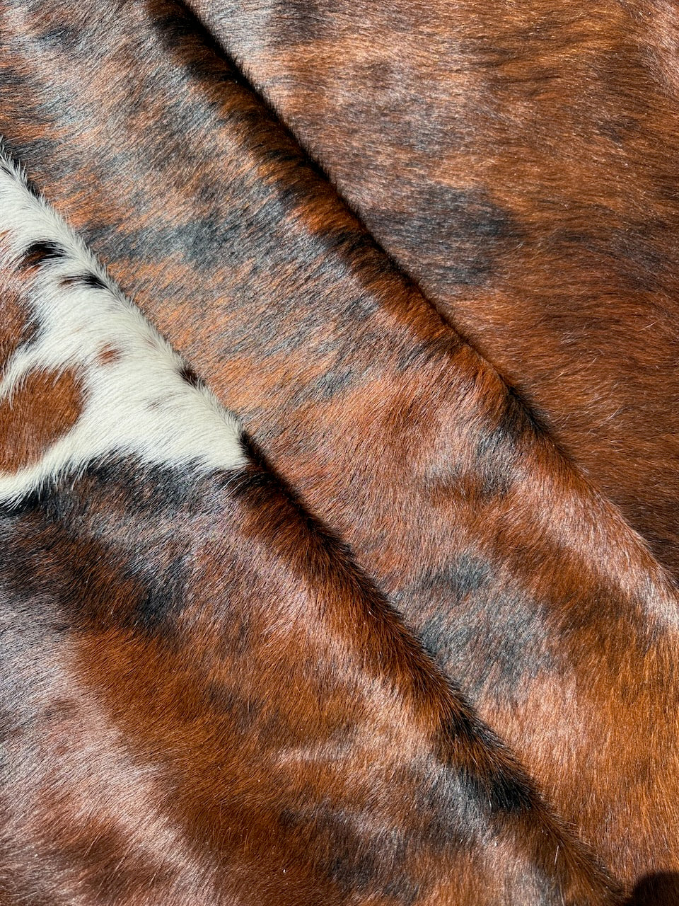 Premium Cowhide Rug  14254  231cm x 191cm (91" x 75") - cowhiderugslondon.co.uk