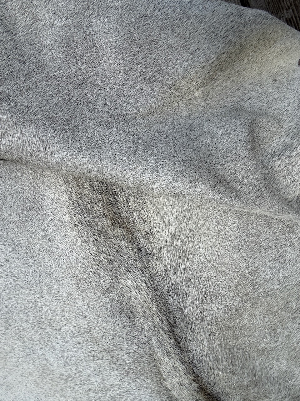 Premium Cowhide Rug  20401   205cm x 190cm (81" x 75") - cowhiderugslondon.co.uk