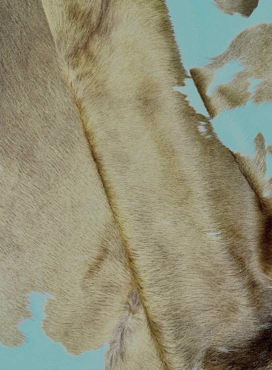 Premium Cowhide Rug 4221  235cm x 216cm (93" x 85")