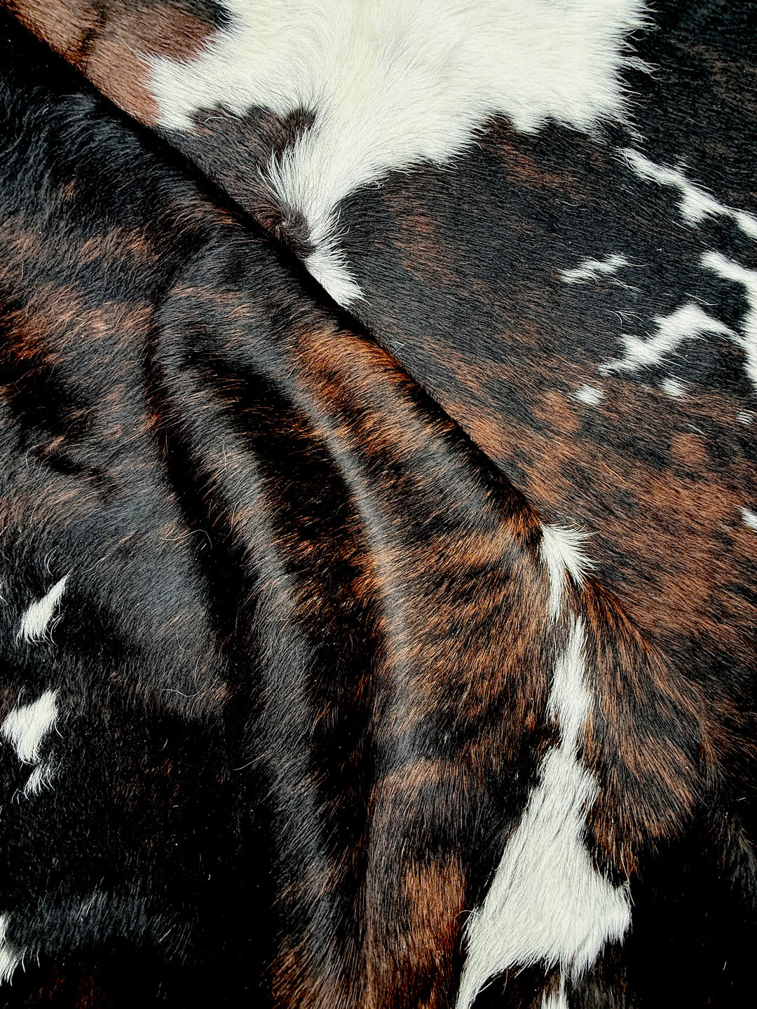 Cowhide Rug Premium 81017   210cm x 170cm (83" x 67") Large
