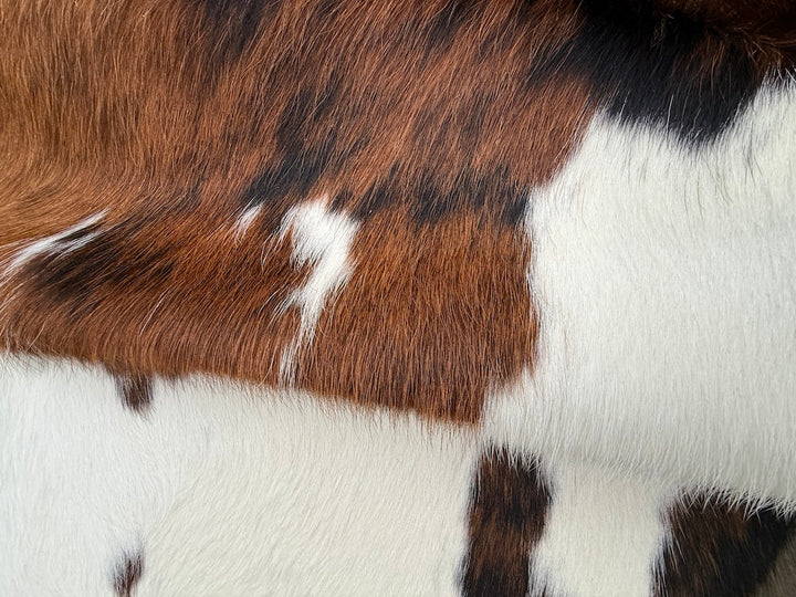 Cowhide Rug Premium  81927   180cm x 153cm (71" x 61")