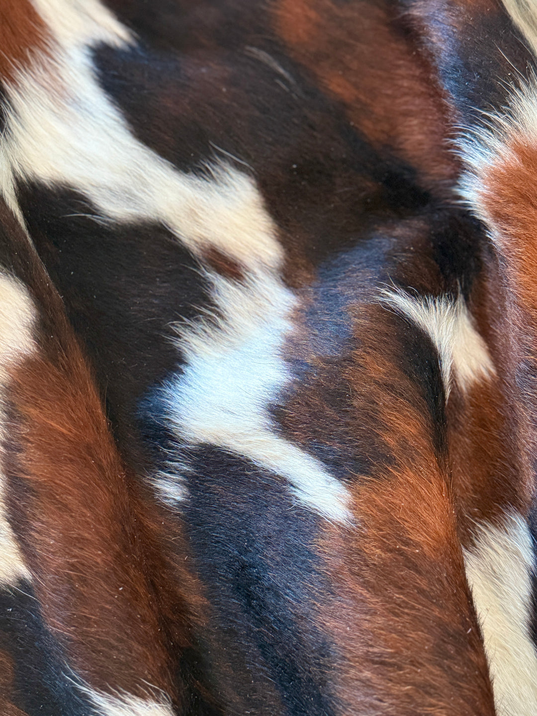 Cowhide Rug Premium  MY742   194cm x 165cm (76" x 65")