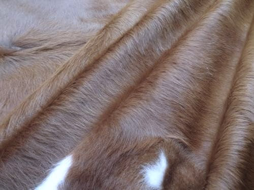 Close-up of brown cowhide