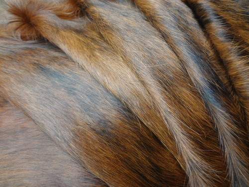 Premium Cowhide Rug from Cowhide Rugs London, XL size 220cm x 190cm, natural cowhide with unique patterns and rich textures.