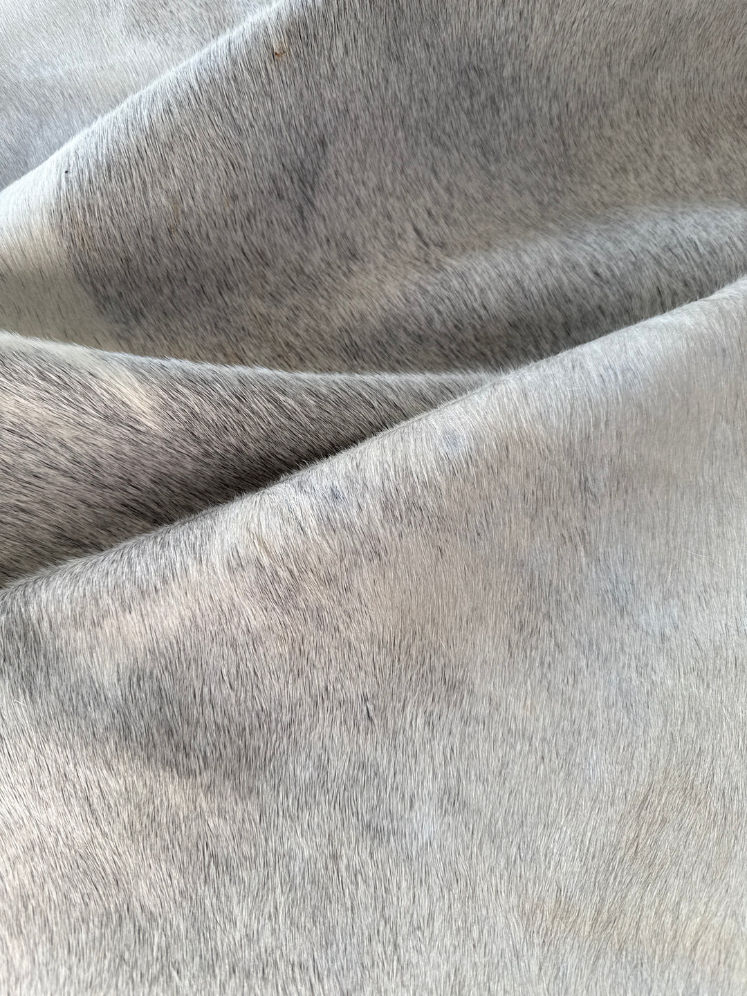 Premium Cowhide Rug H101  245cm x 190cm XXL
