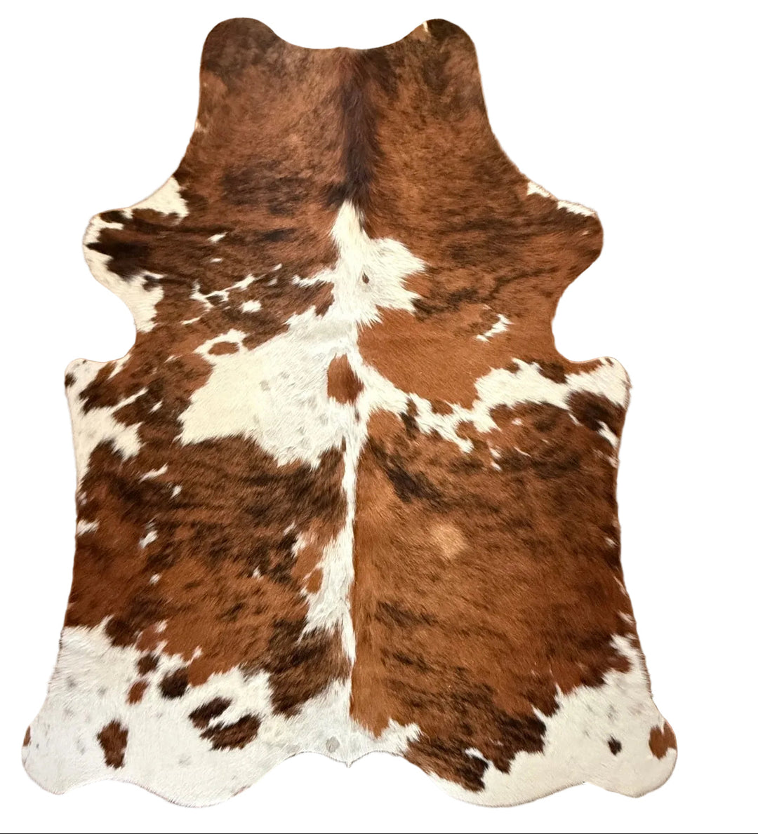 Premium cowhide rug from Cowhide-Rugs-London, 164cm x 143cm, showcasing natural cowhide pattern and texture.