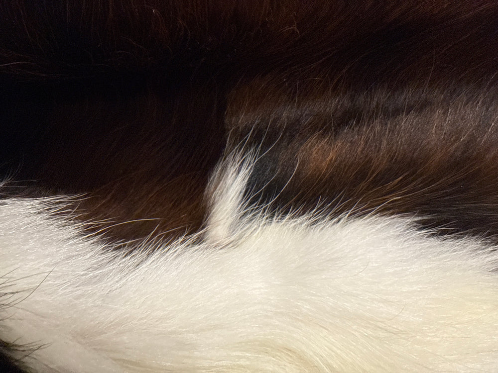 Premium Cowhide Rug  N55125 210cm x 170cm (83" x 67") XL - cowhiderugslondon.co.uk