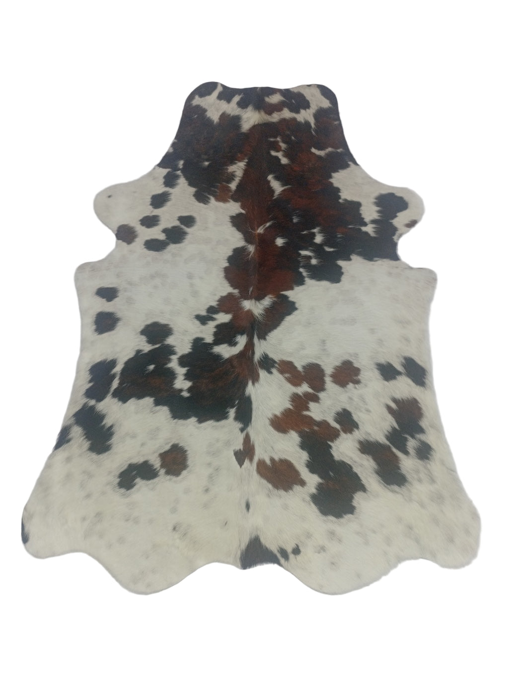 Spotted animal hide