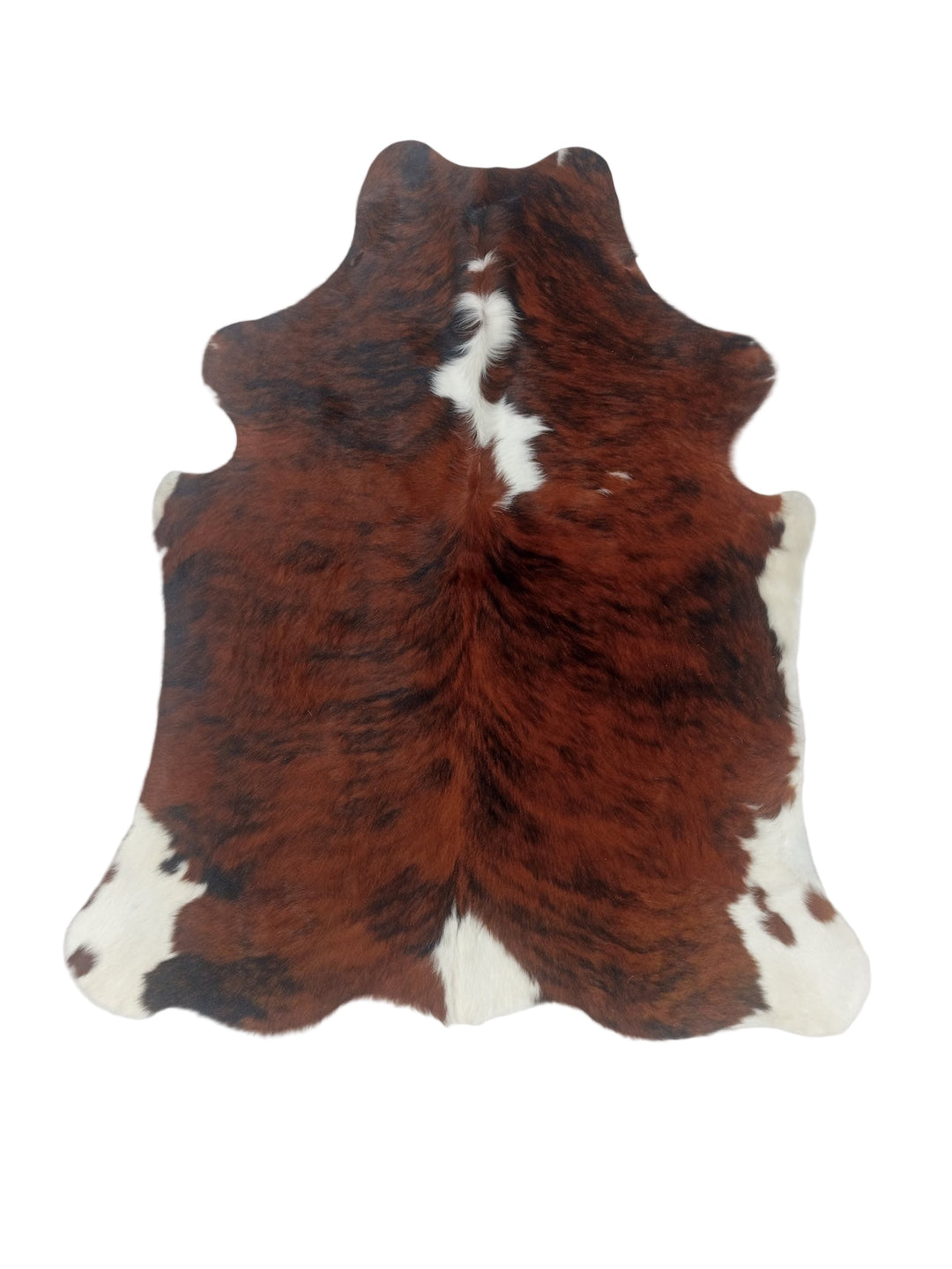 Brown and white cowhide rug 