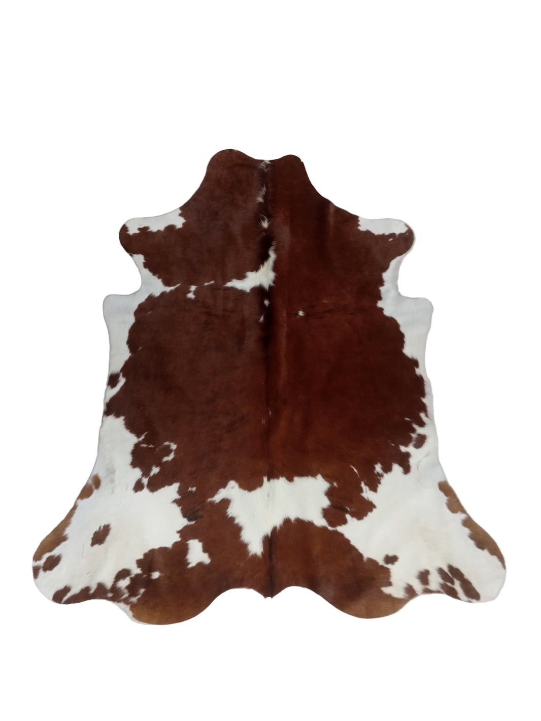 Brown and white cowhide rug 