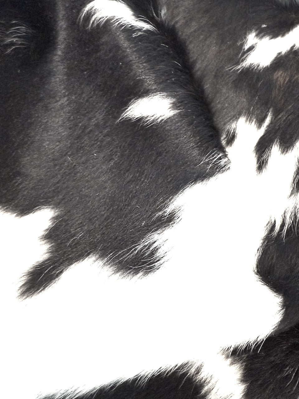 Cowhide Rug Premium  1208  187cm x 155cm Tricolour
