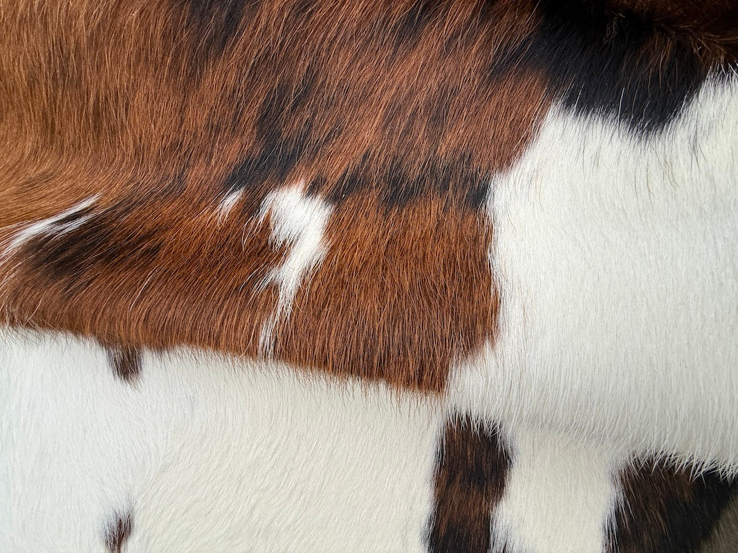 Cowhide Rug Premium  81927   180cm x 153cm (71" x 61")