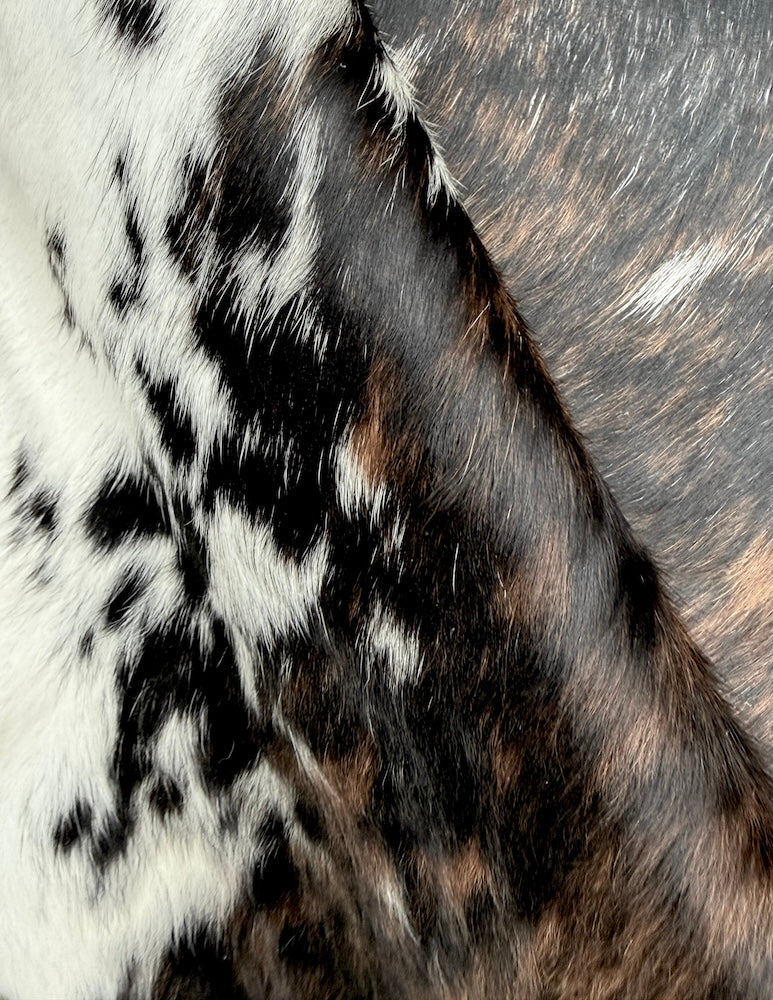 Extra Large Cowhide Rug  242cm x 208cm   XXL