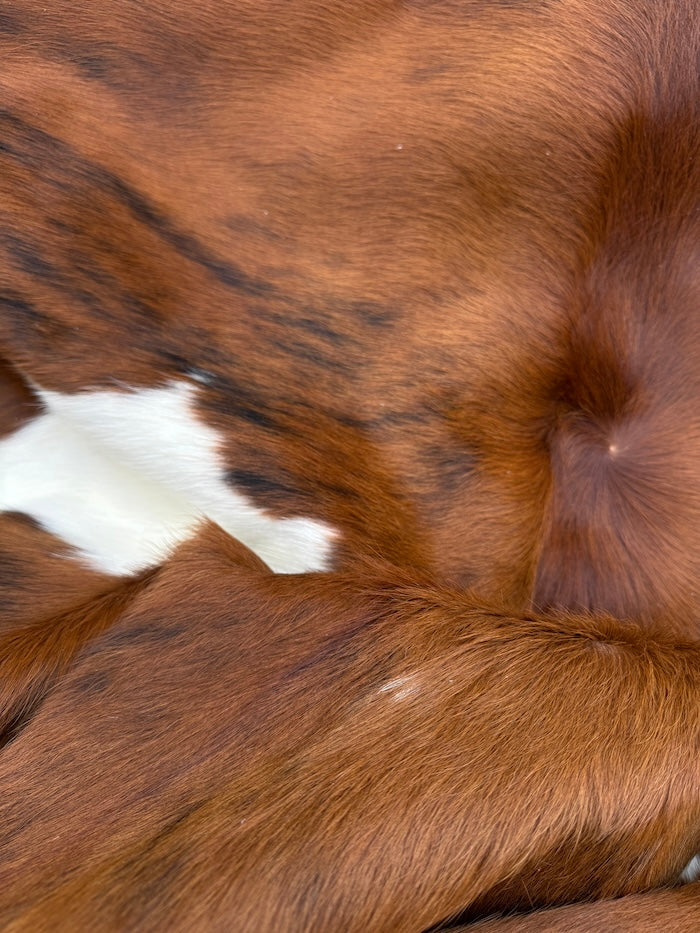Extra large Brazilian tricolour cowhide rug in natural tones, 235x210cm, premium hide from Cowhide Rugs London.