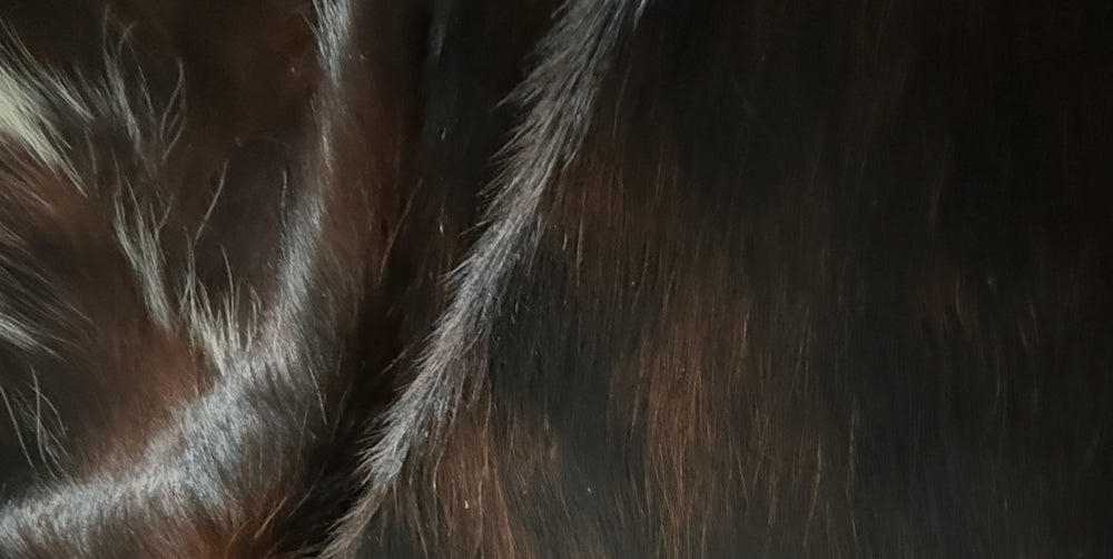 Close-up of dark brown and black fur with lighter brown and gray highlights, showing the texture of the hair.