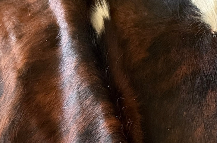 Premium Cowhide Rug  N61456 210cm x 195cm (83" x 77") - cowhiderugslondon.co.uk