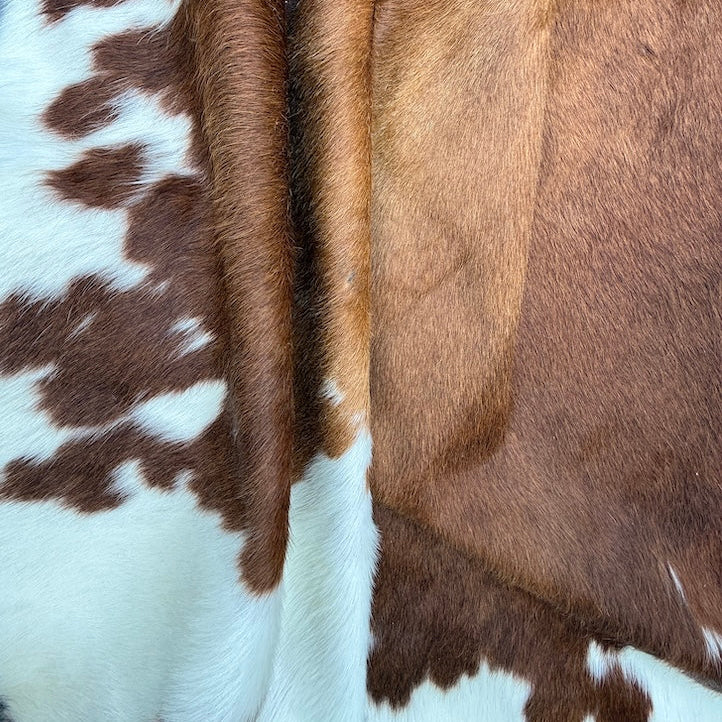 Large premium cowhide rug from Cowhide Rugs London, 200cm x 180cm, with natural cowhide texture and distinctive markings.