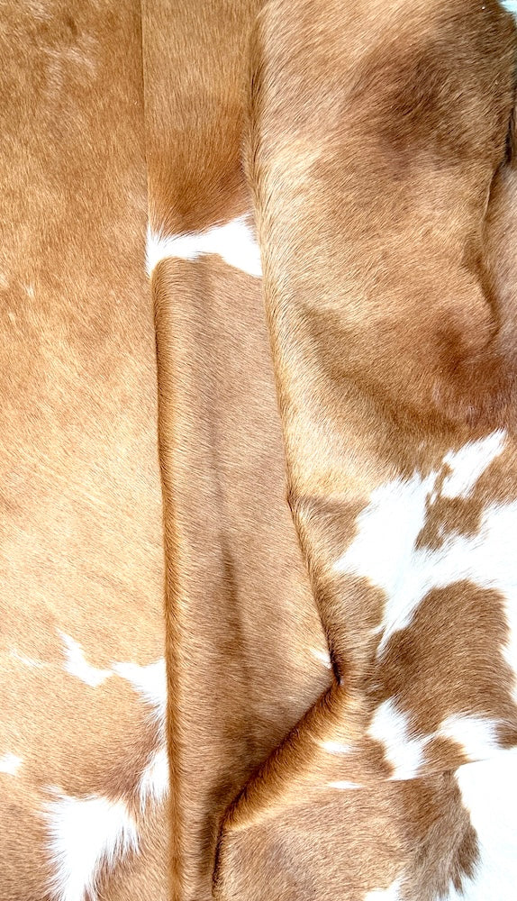 Close-up of brown and white fur pattern