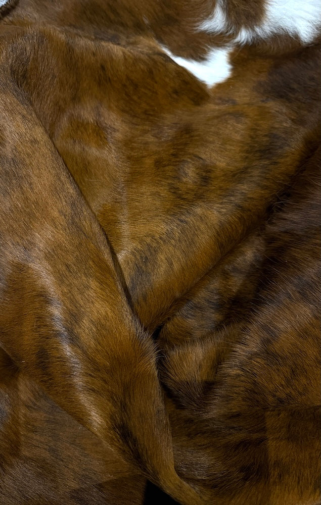 Extra Large Cowhide Rug 250x236cm – Brown & Black, White Natural Hide UK (A85718)