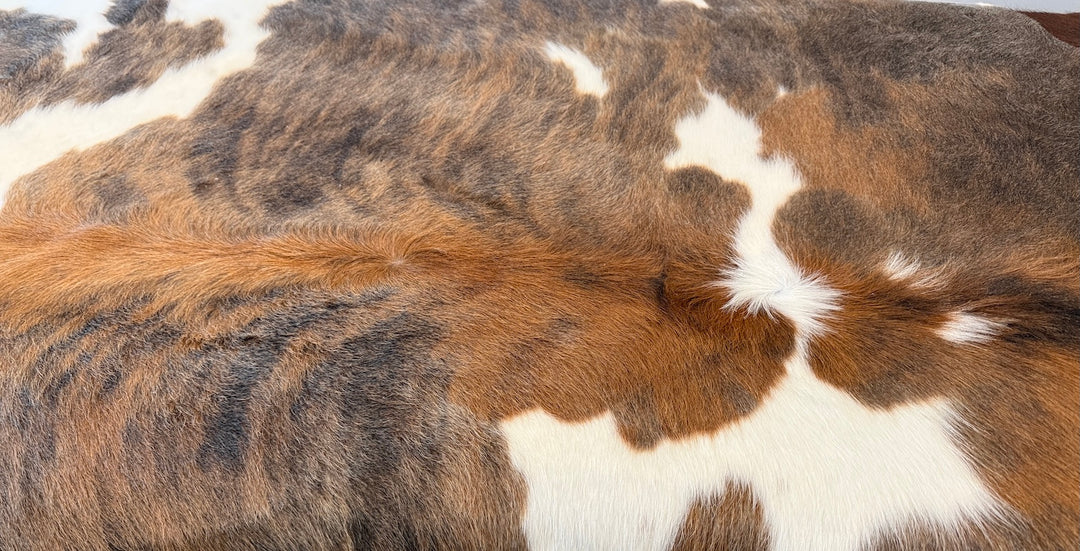 Premium Cowhide Rug  6482 200cm x 160cm
