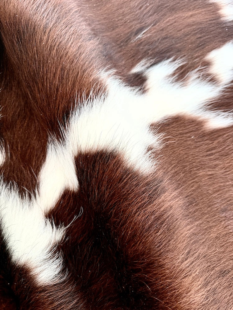 Extra Large Tricolour Cowhide Rug A90101 – 245cm x220cm  (96" x 87")XL
