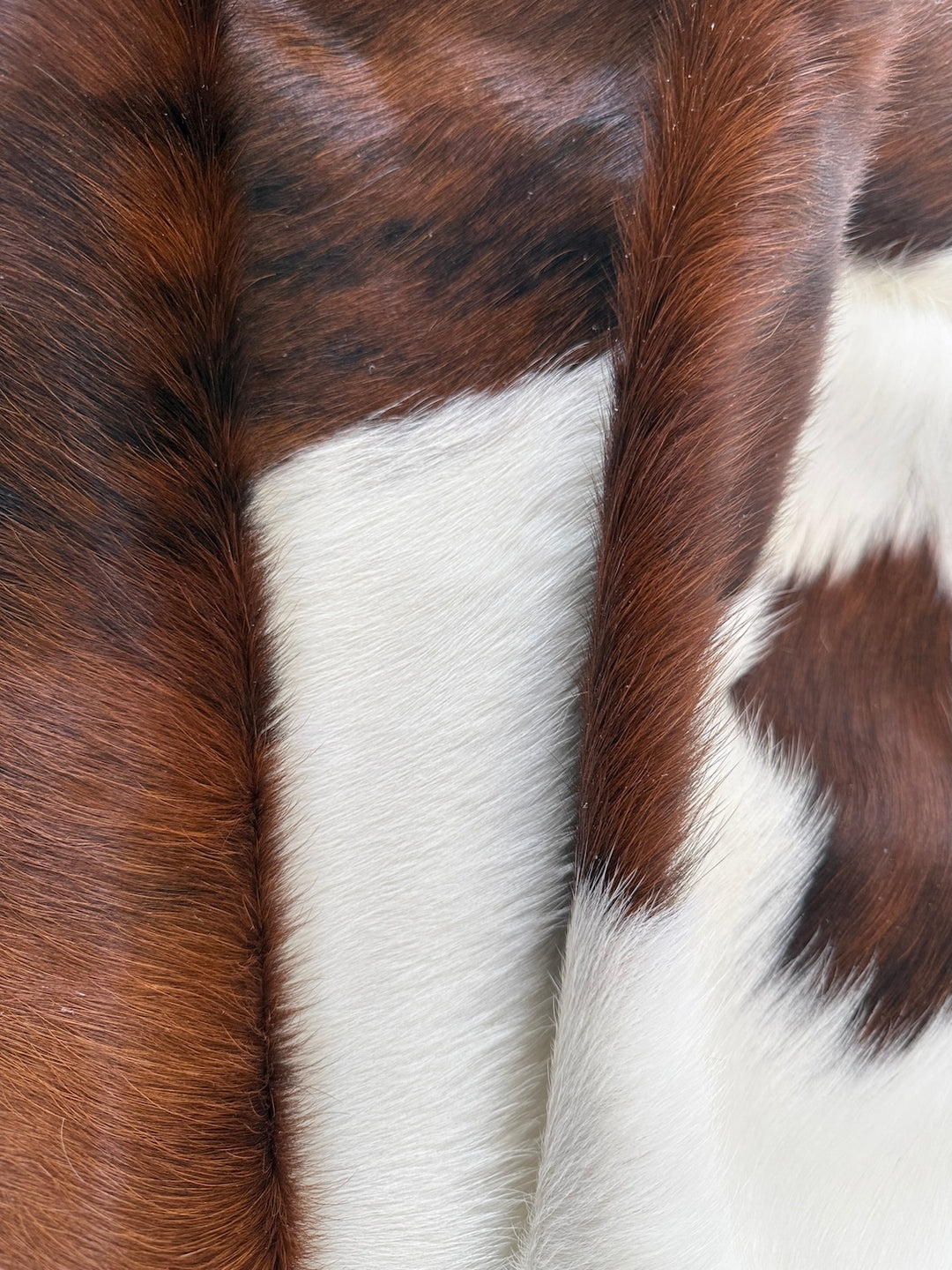 Premium Tricolour Cowhide Rug A90749 – Extra Large 257x216cm (101” x 85”) XXL