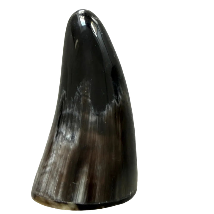 A natural cow horn or tusk-shaped object with a glossy dark brown to black top and lighter brown and cream bands near the base, photographed on a speckled light gray countertop.