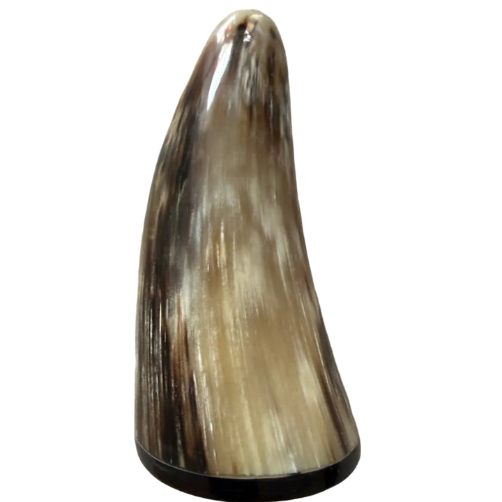 cow Horn Polished