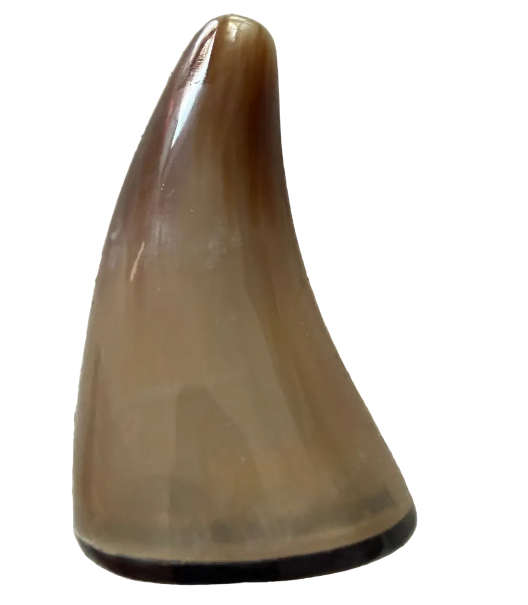 cow horn