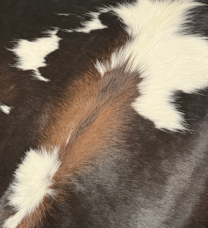 Cowhide Rug Premium  AU2234   160cm x 115cm Extra small
