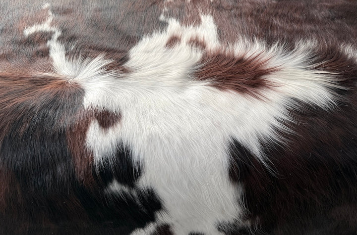 Premium cowhide rug from Cowhide Rugs London, 185cm x 170cm, showcasing natural cowhide pattern and texture.