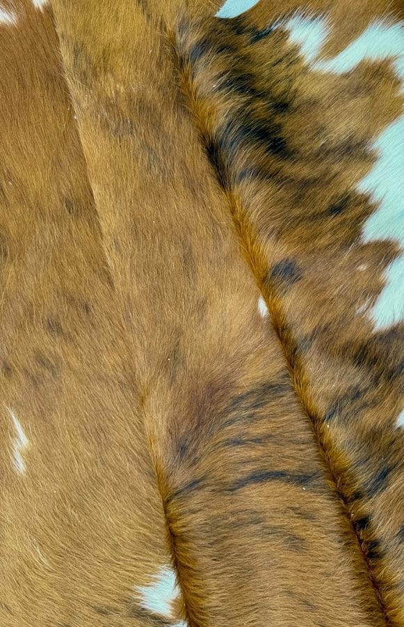 Luxury Cowhide Rug by Cowhide Rugs London, premium cowhide with natural brown and white patches, 205cm x 195cm size.