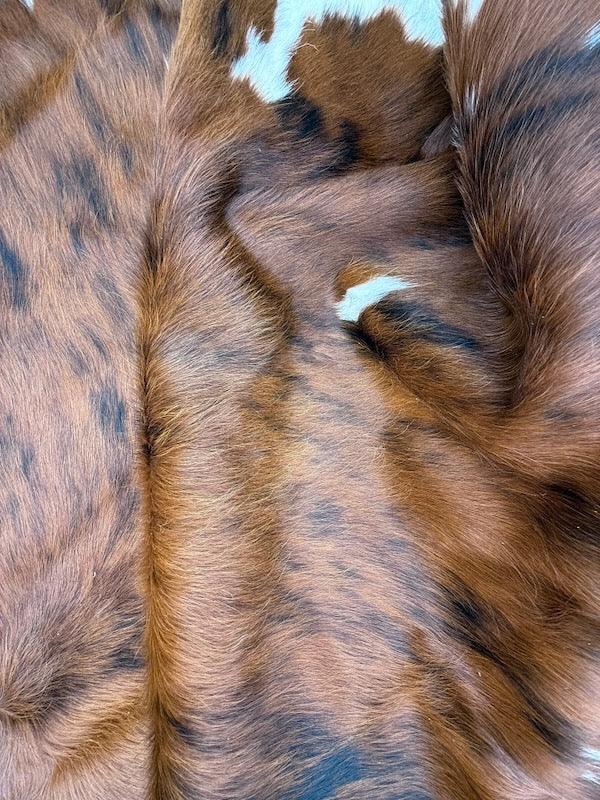 Premium cowhide rug from Cowhide Rugs London, 205cm x 170cm, featuring natural cowhide with distinctive patterns and textures.