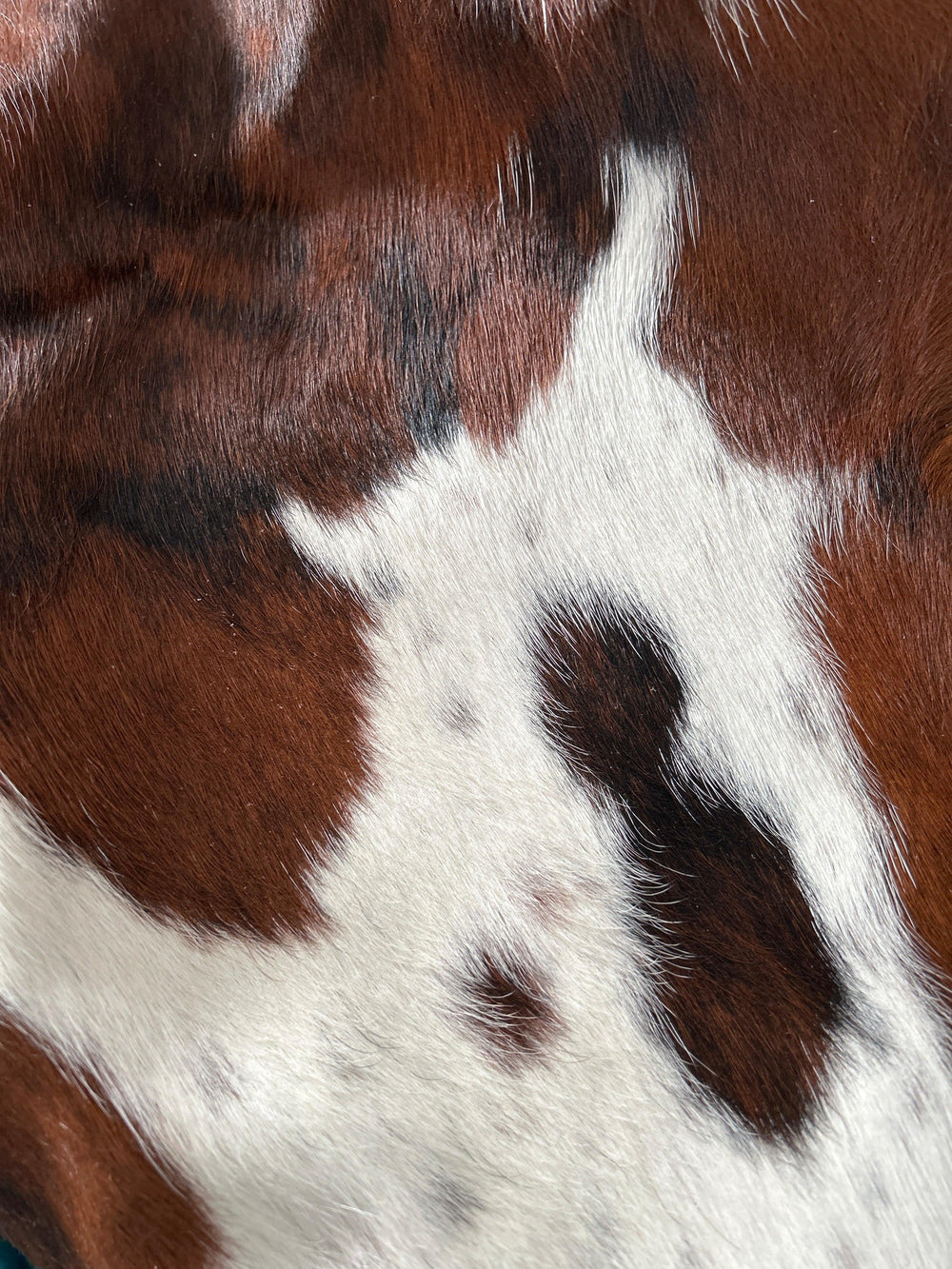 Premium Cowhide Rug DM430 from Cowhide Rugs London, natural cowhide with a 207cm x 184cm size and unique natural pattern.
