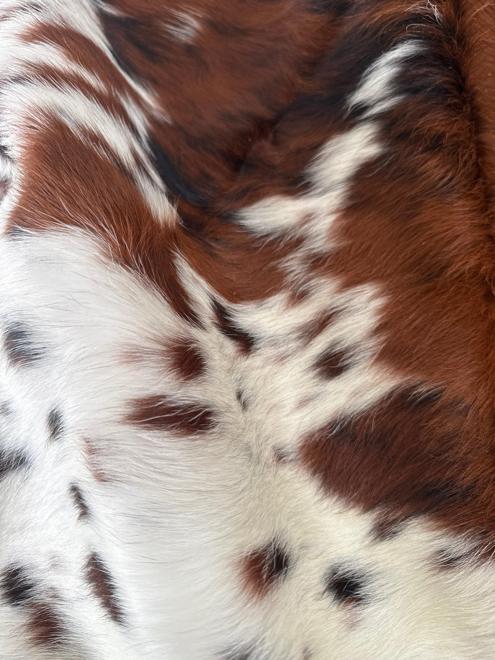 Premium cowhide rug in natural tones, 183cm x 155cm, from Cowhide Rugs London, showcasing soft, patterned hide with unique markings.