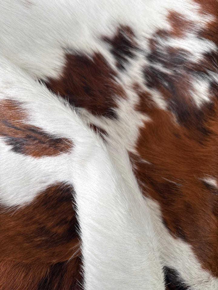Premium cowhide rug by Cowhide Rugs London, medium size 190cm x 161cm with natural cowhide pattern and soft texture.