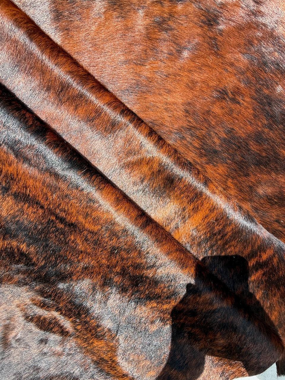 Premium Cowhide Rug by Cowhide Rugs London showing a large, natural cowhide with rich brown and white patches, measuring 229cm x 201cm.