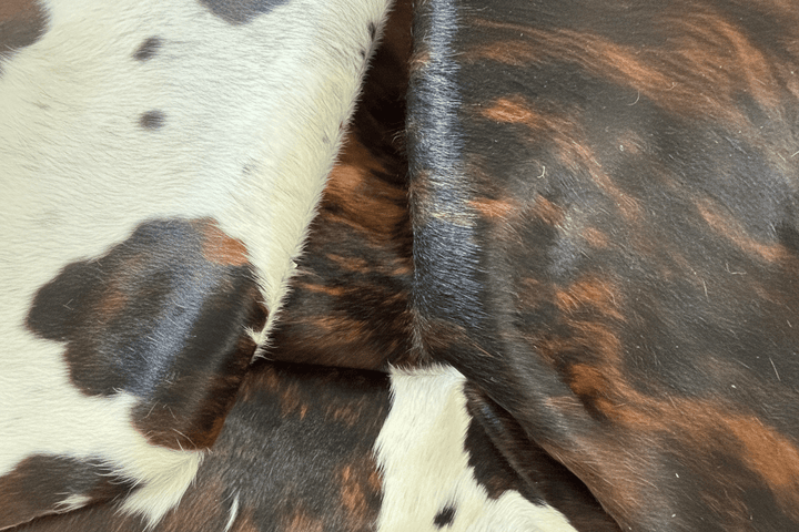 Premium cowhide rug from Cowhide Rugs London, 232cm x 197cm, natural cowhide with distinctive pattern and soft texture.