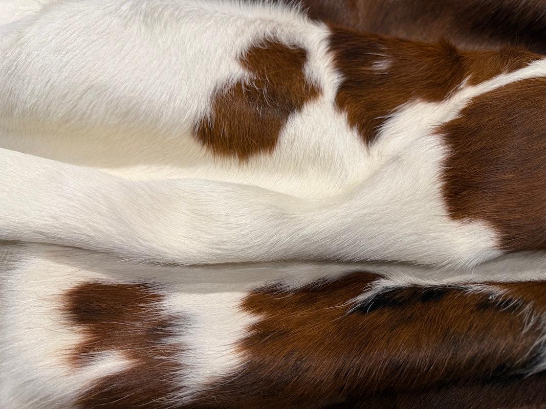 Premium cowhide rug from Cowhide Rugs London, XXL size 237cm x 195cm, natural brown and white cowhide pattern.