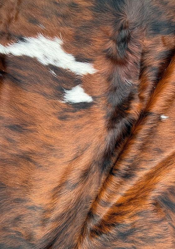 Premium cowhide rug from Cowhide Rugs London, XL size 236cm x 210cm, natural cowhide with unique pattern and soft texture.