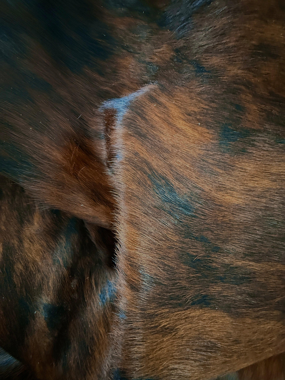Premium cowhide rug from Cowhide Rugs London, natural cowhide with distinctive markings, 192cm x 164cm size.